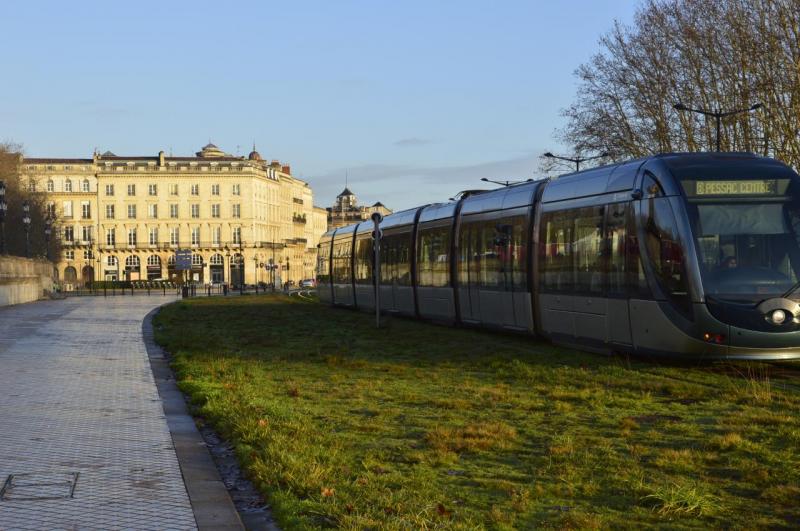 Nature + Tram ( Bordeaux )