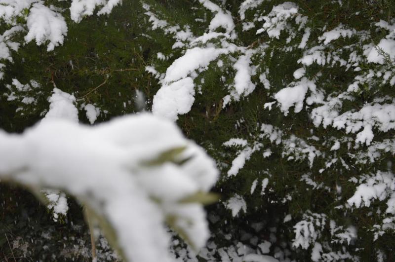 La Neige à Toulouse