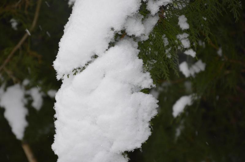 La Neige à Toulouse