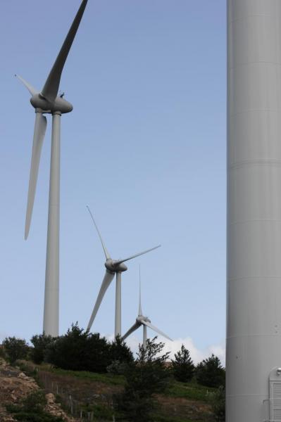 Eoliennes de Fraisse sur agoût, dans le Haut Languedoc, ( été 2012 )